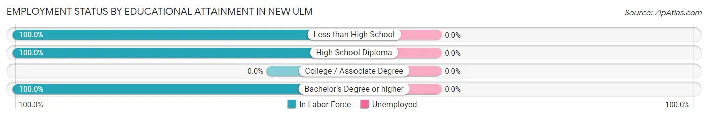 Employment Status by Educational Attainment in New Ulm