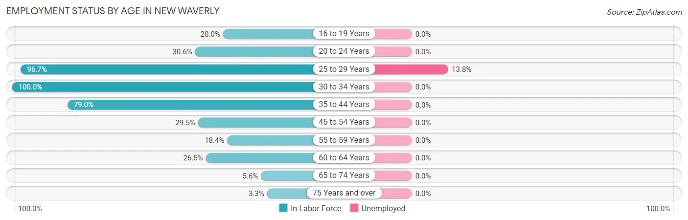 Employment Status by Age in New Waverly