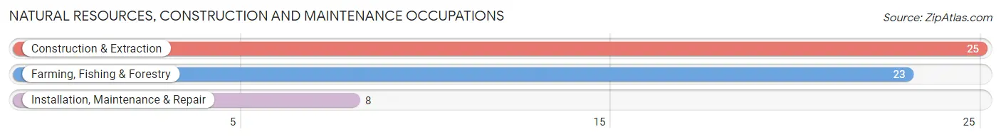 Natural Resources, Construction and Maintenance Occupations in Normangee