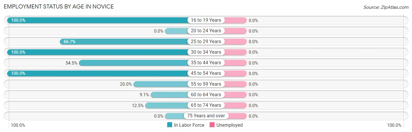 Employment Status by Age in Novice