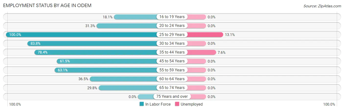 Employment Status by Age in Odem