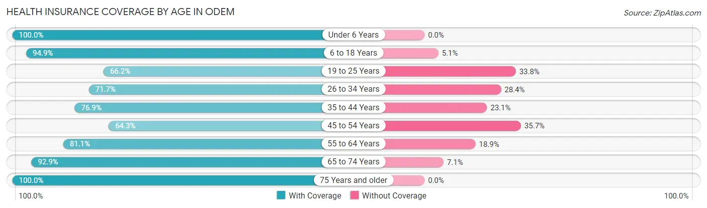 Health Insurance Coverage by Age in Odem
