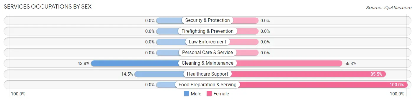 Services Occupations by Sex in Odem