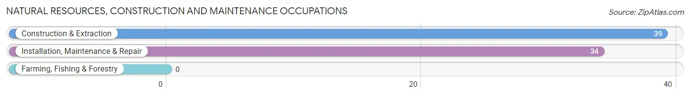 Natural Resources, Construction and Maintenance Occupations in Omaha