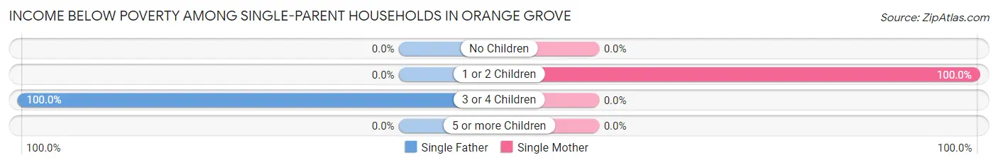 Income Below Poverty Among Single-Parent Households in Orange Grove