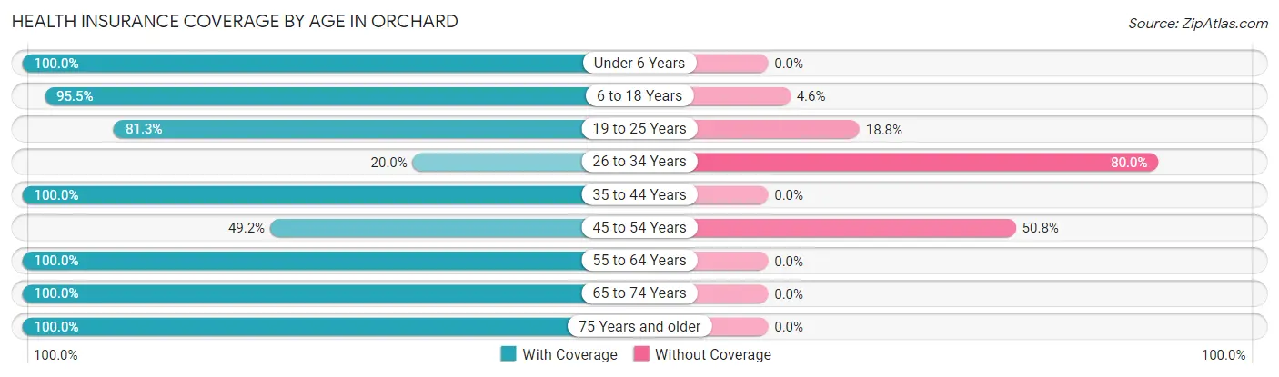 Health Insurance Coverage by Age in Orchard
