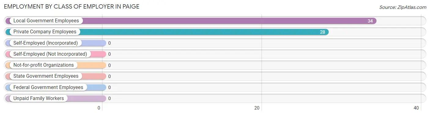 Employment by Class of Employer in Paige