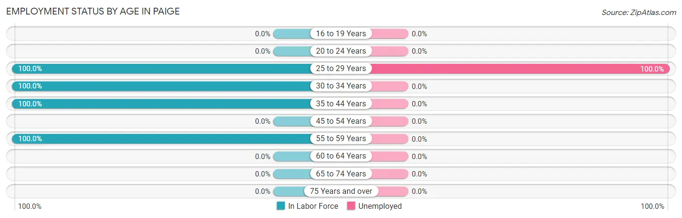 Employment Status by Age in Paige