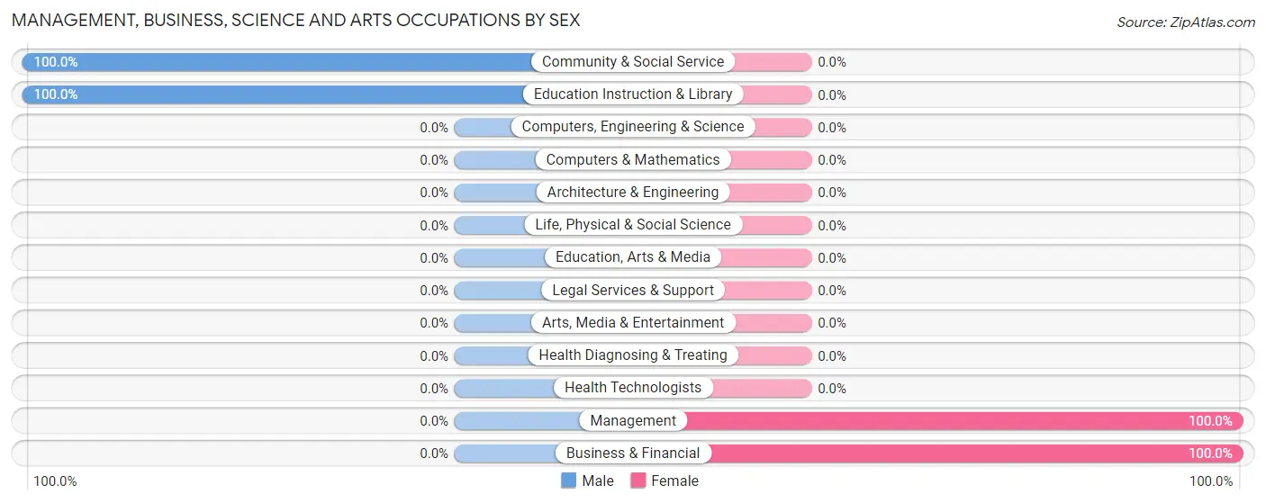 Management, Business, Science and Arts Occupations by Sex in Paige