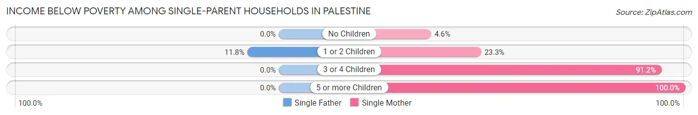 Income Below Poverty Among Single-Parent Households in Palestine