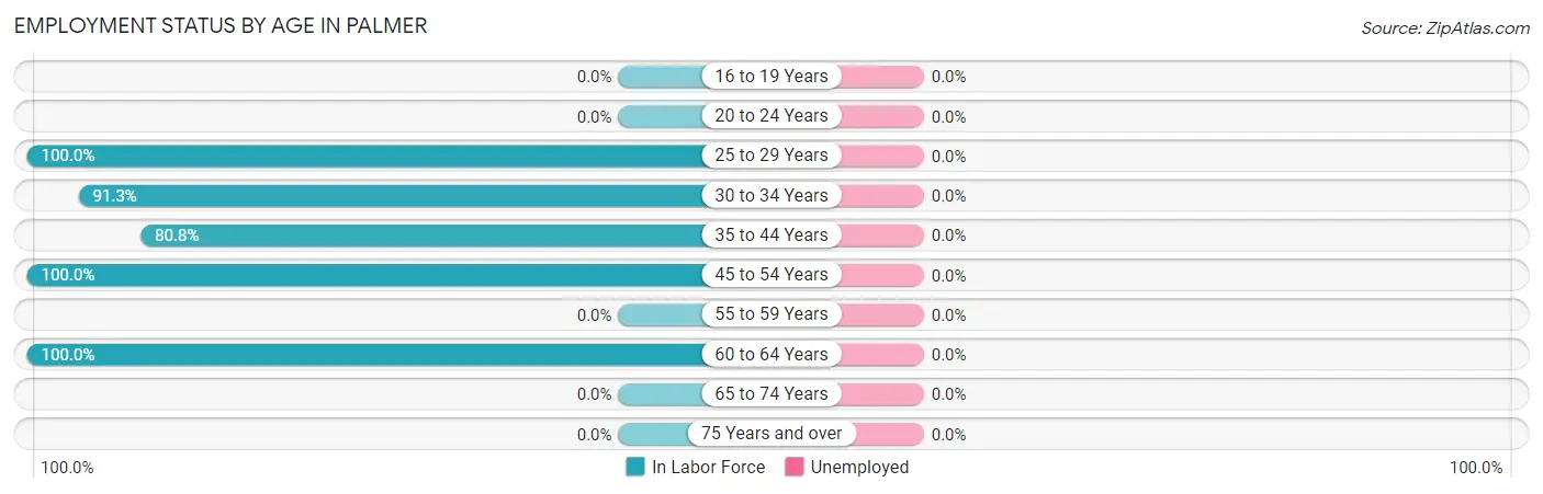 Employment Status by Age in Palmer