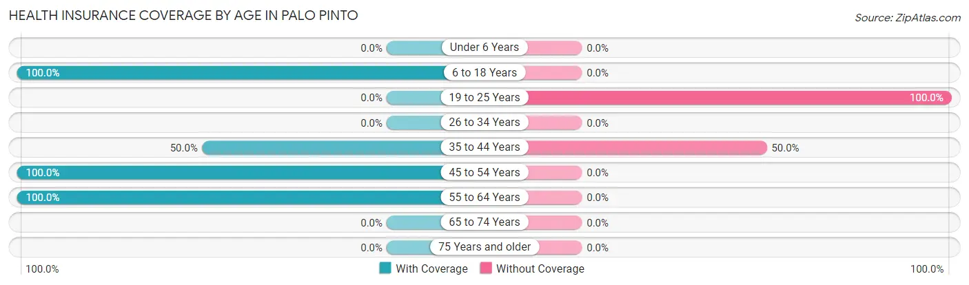 Health Insurance Coverage by Age in Palo Pinto