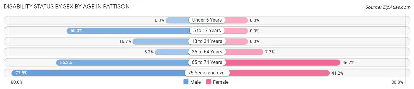 Disability Status by Sex by Age in Pattison