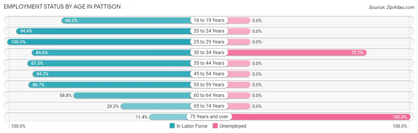 Employment Status by Age in Pattison