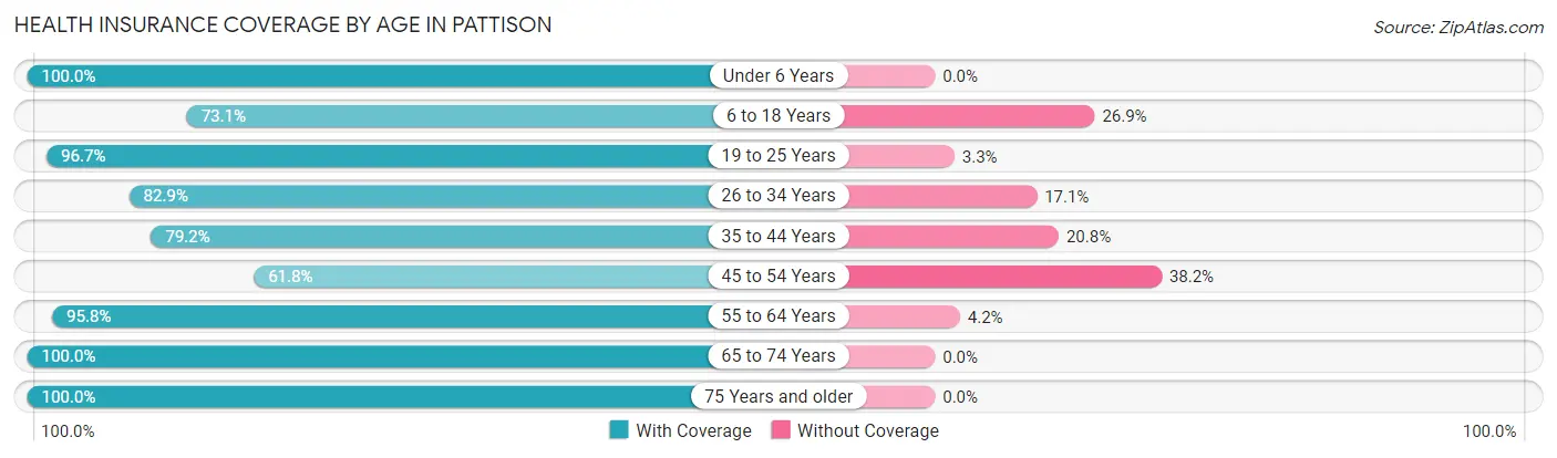 Health Insurance Coverage by Age in Pattison