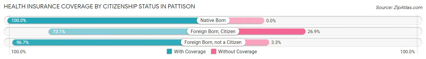 Health Insurance Coverage by Citizenship Status in Pattison