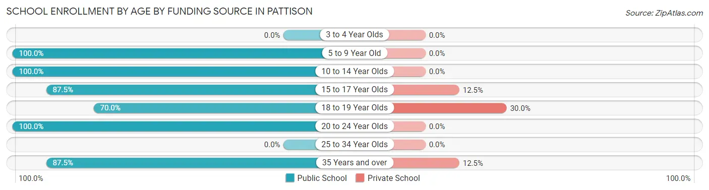 School Enrollment by Age by Funding Source in Pattison