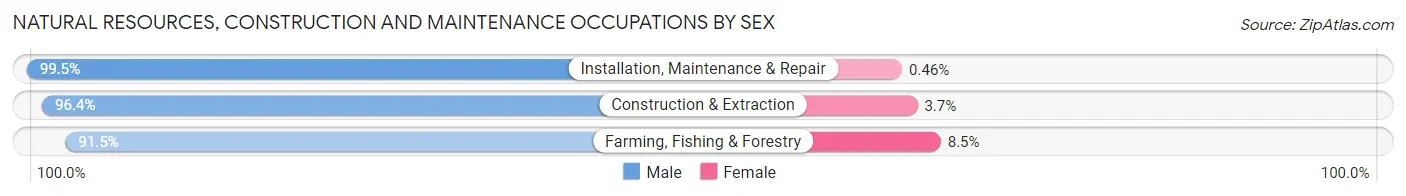 Natural Resources, Construction and Maintenance Occupations by Sex in Pearland
