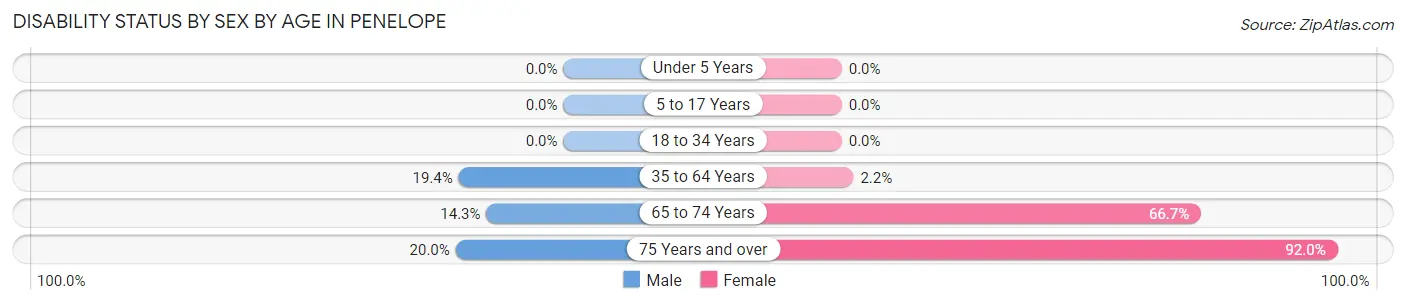 Disability Status by Sex by Age in Penelope