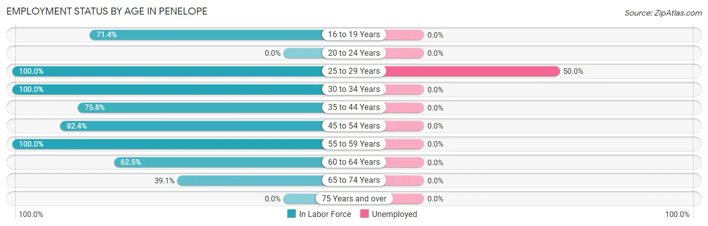 Employment Status by Age in Penelope