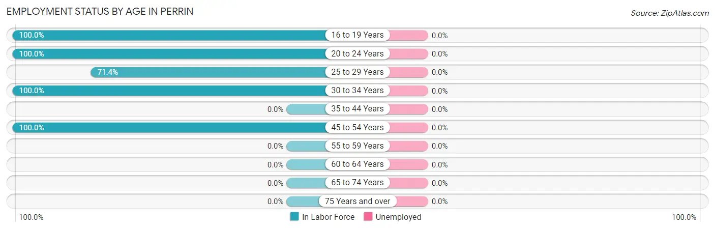 Employment Status by Age in Perrin