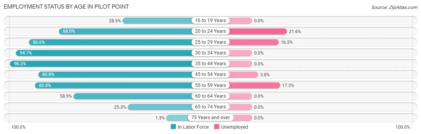 Employment Status by Age in Pilot Point