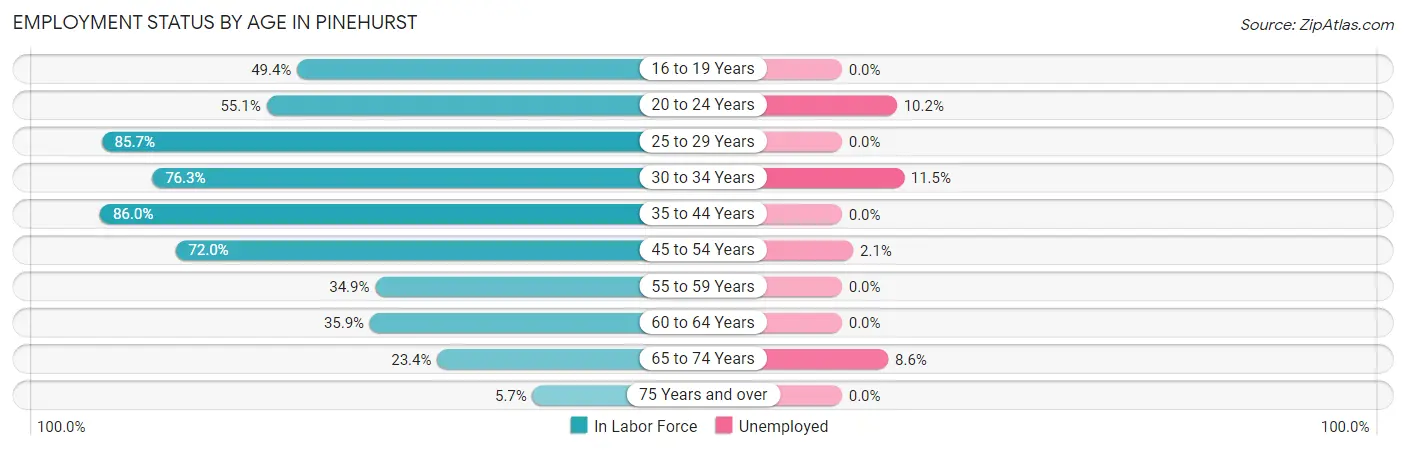 Employment Status by Age in Pinehurst