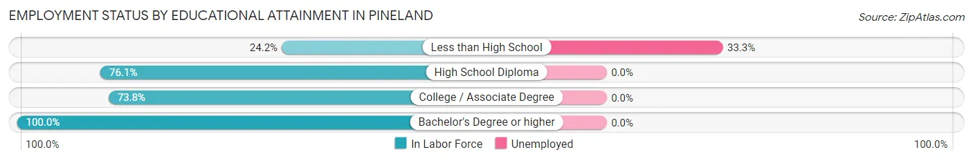 Employment Status by Educational Attainment in Pineland