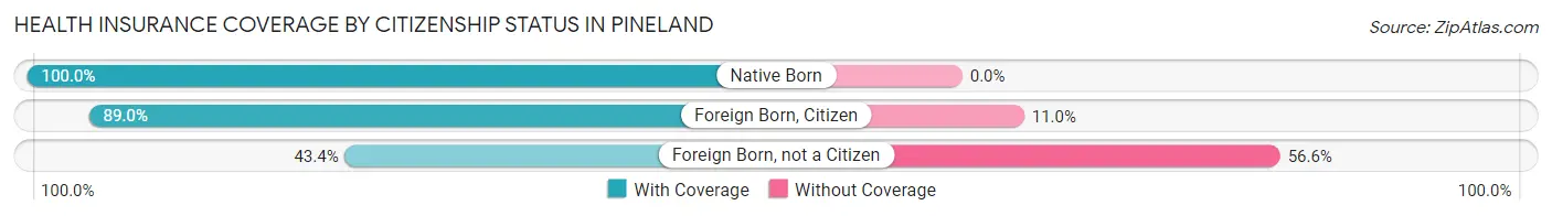 Health Insurance Coverage by Citizenship Status in Pineland