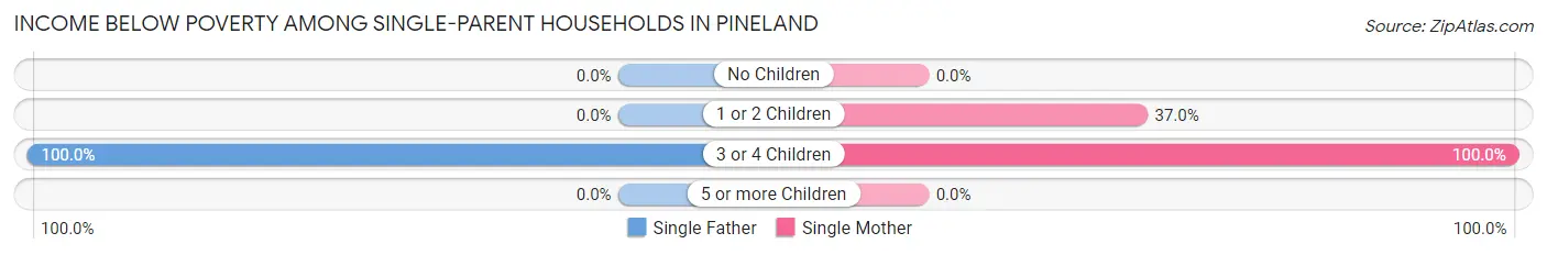 Income Below Poverty Among Single-Parent Households in Pineland