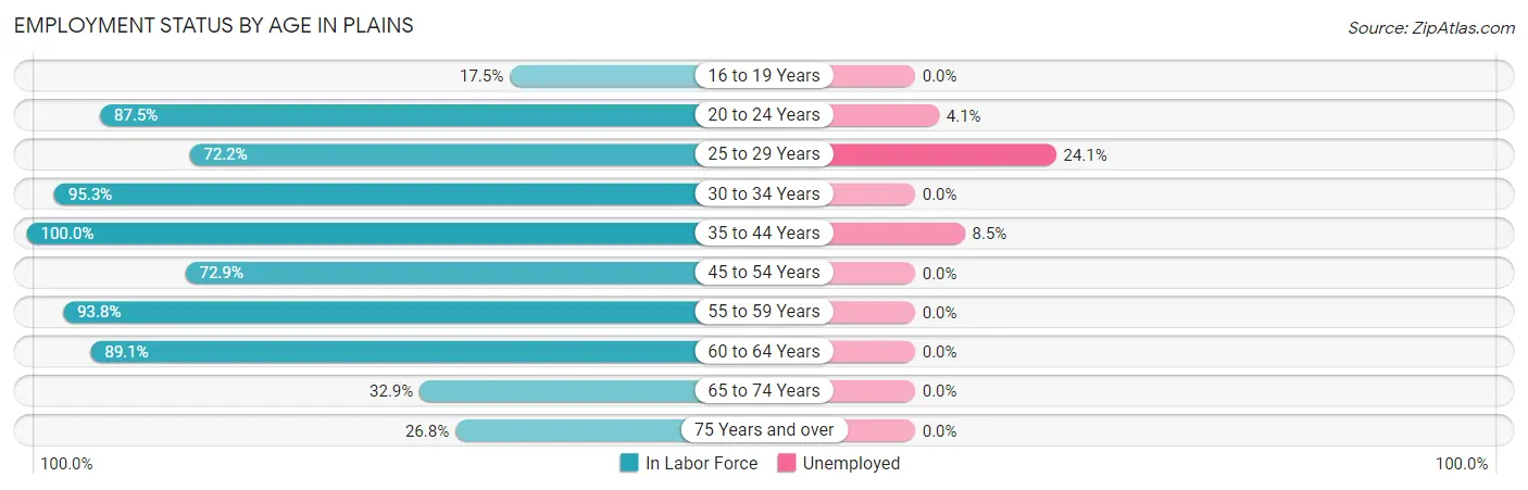 Employment Status by Age in Plains