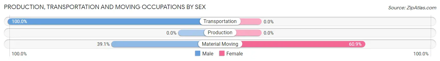 Production, Transportation and Moving Occupations by Sex in Plains