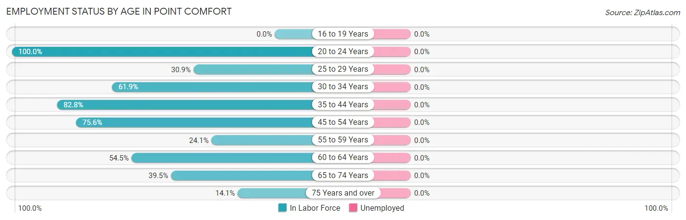 Employment Status by Age in Point Comfort