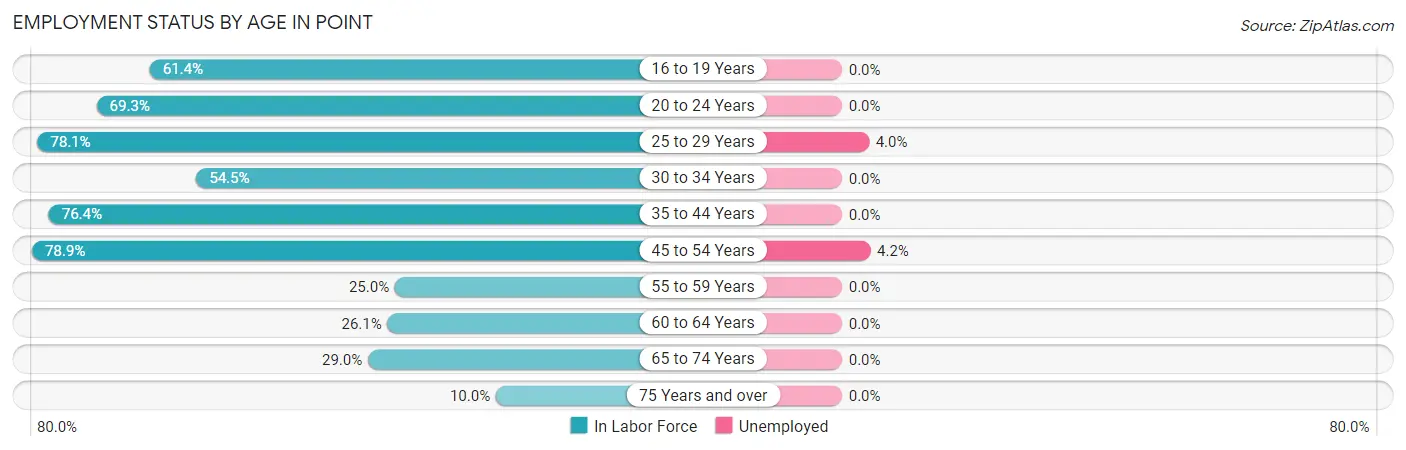 Employment Status by Age in Point