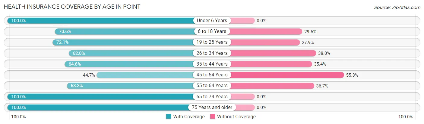 Health Insurance Coverage by Age in Point