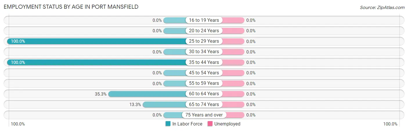 Employment Status by Age in Port Mansfield