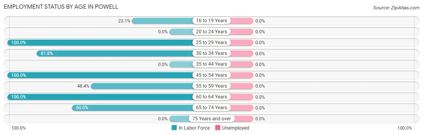 Employment Status by Age in Powell
