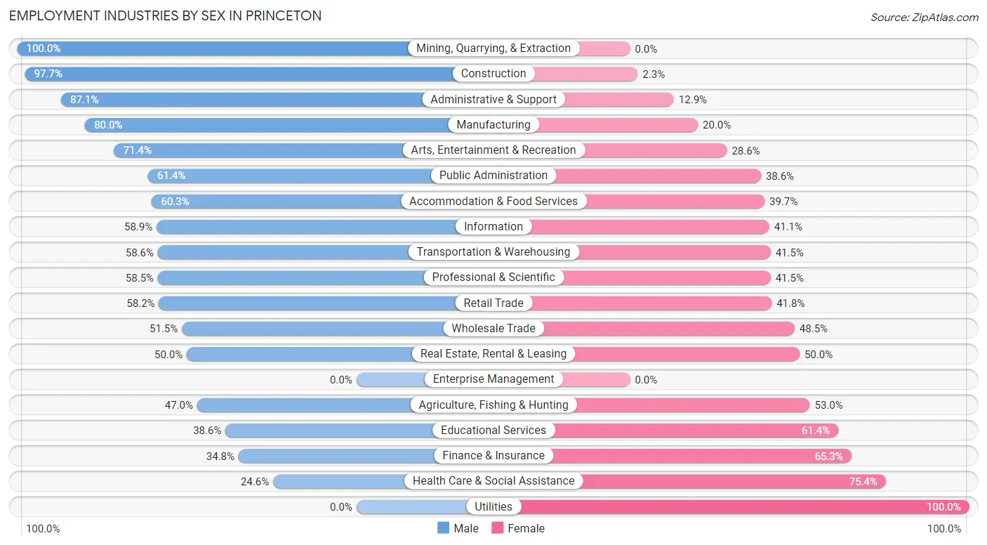 Employment Industries by Sex in Princeton