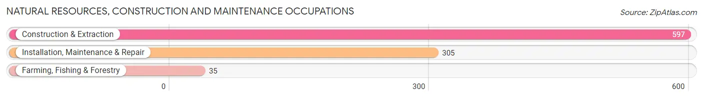 Natural Resources, Construction and Maintenance Occupations in Princeton