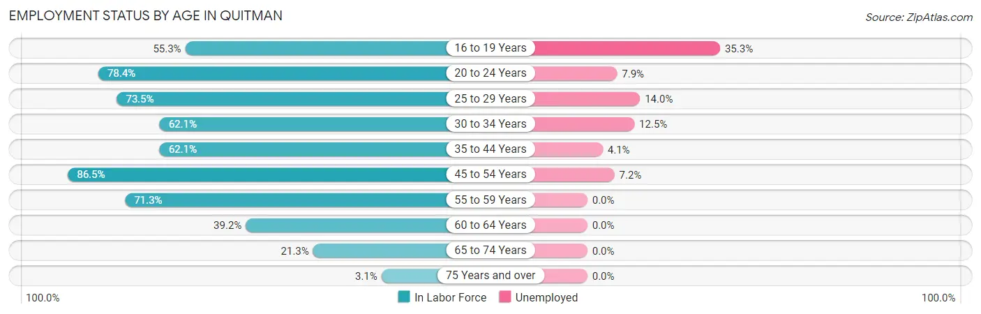 Employment Status by Age in Quitman