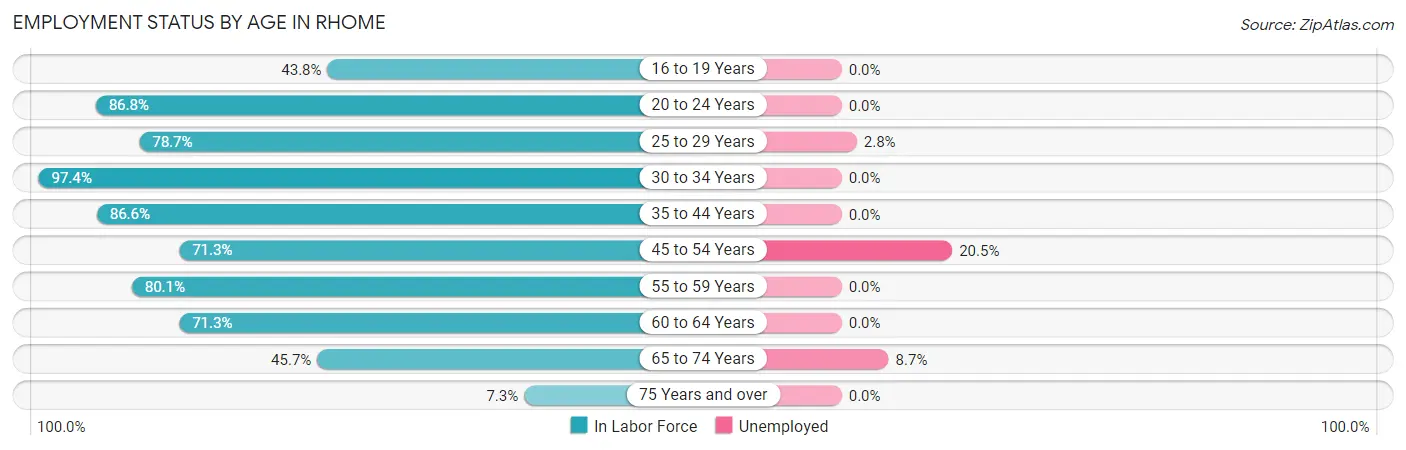 Employment Status by Age in Rhome