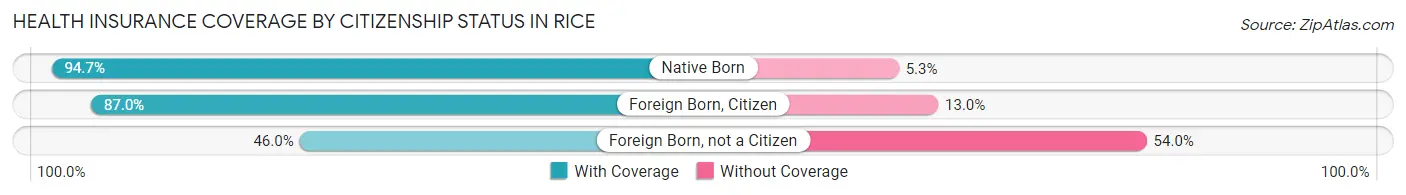 Health Insurance Coverage by Citizenship Status in Rice