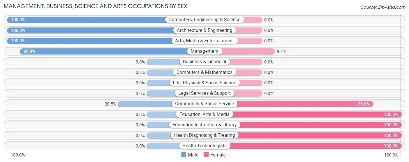 Management, Business, Science and Arts Occupations by Sex in Rice