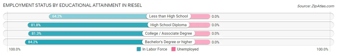 Employment Status by Educational Attainment in Riesel