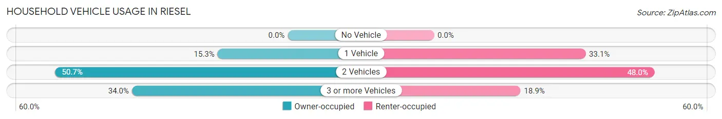 Household Vehicle Usage in Riesel