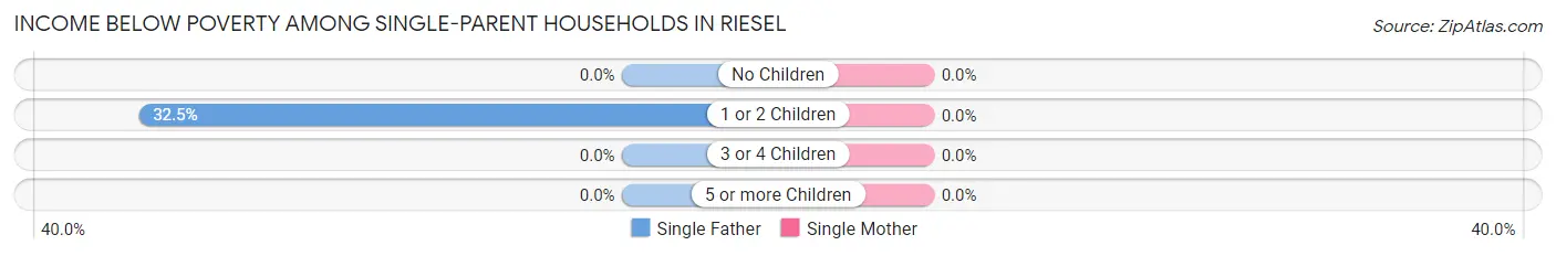 Income Below Poverty Among Single-Parent Households in Riesel
