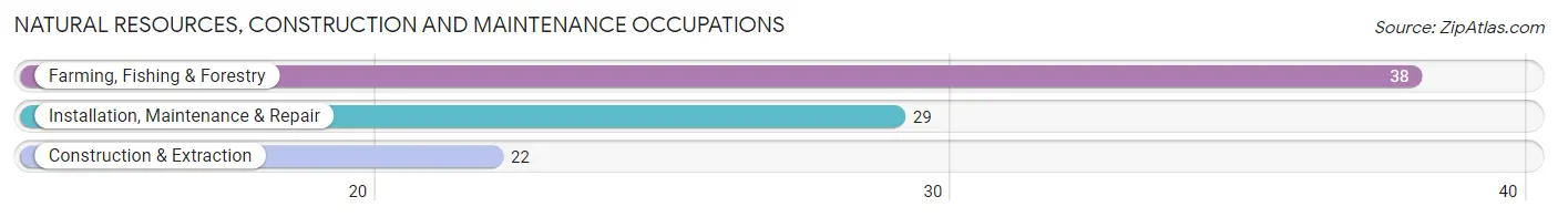 Natural Resources, Construction and Maintenance Occupations in Riviera