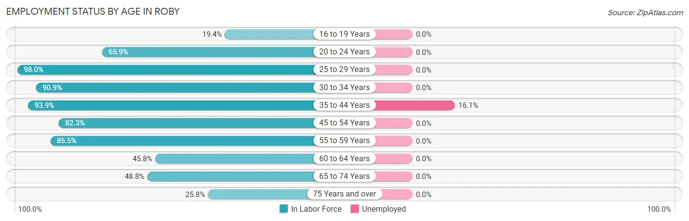 Employment Status by Age in Roby
