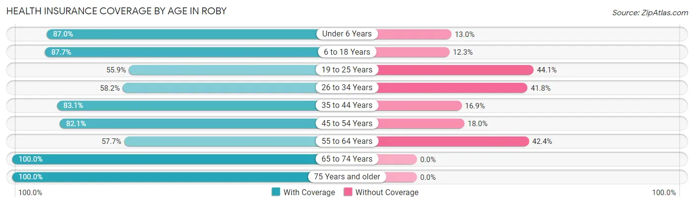 Health Insurance Coverage by Age in Roby