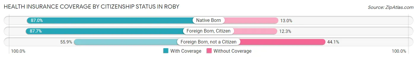 Health Insurance Coverage by Citizenship Status in Roby